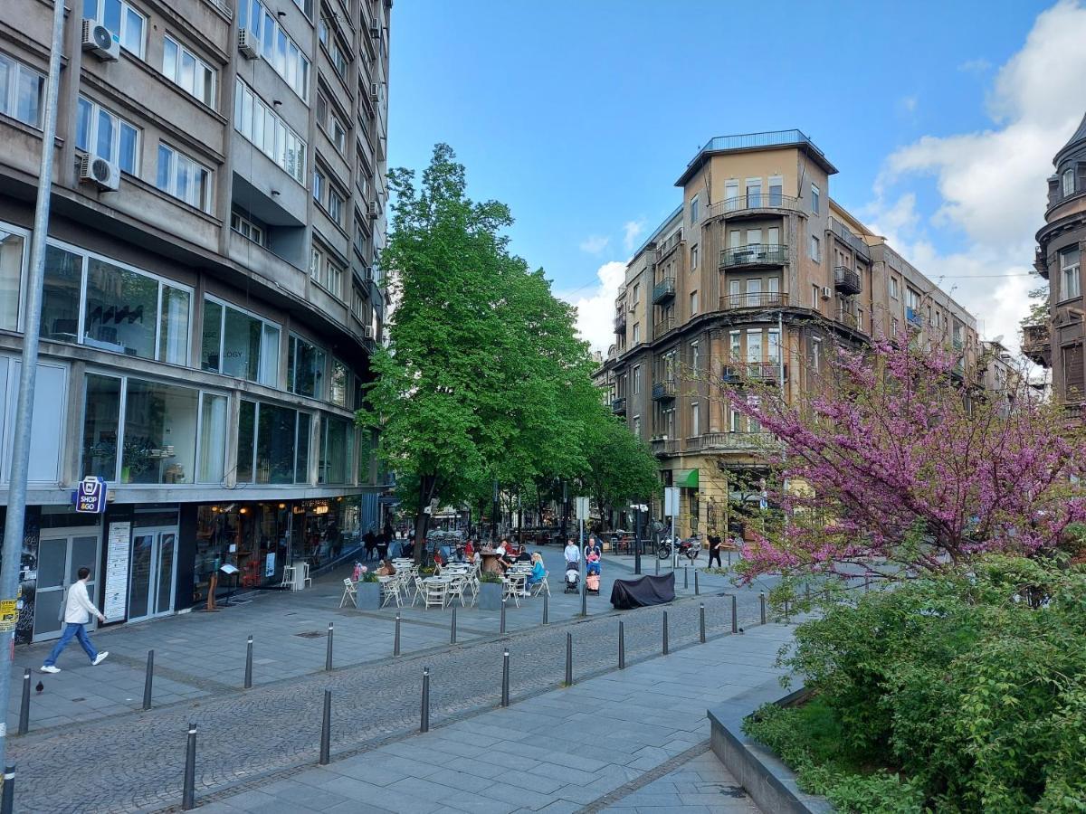 Lotta Apartment Belgrad Zewnętrze zdjęcie